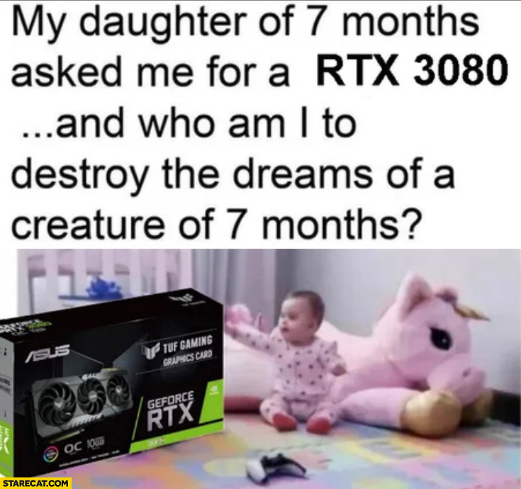 My daughter of 7 months aked me for a RTX 3080 and who am I to destroy the dreams of a creature of 7 months computer graphics card
