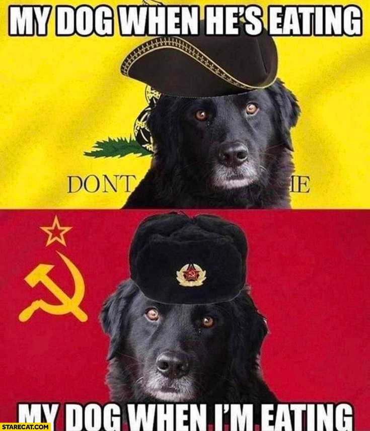 My dog when his eating libertarian don’t tread on me vs my dog when I’m eating communist
