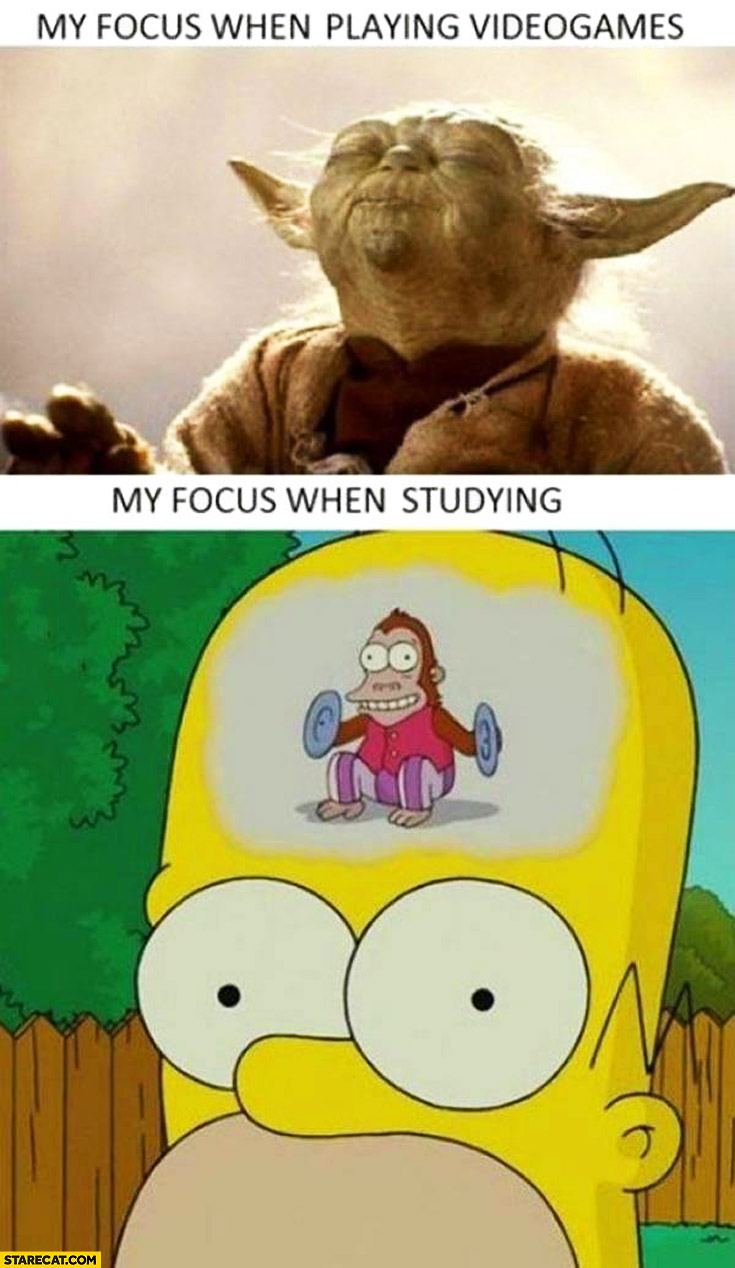 My focus when playing video games Yoda my focus when studying Homer monkey