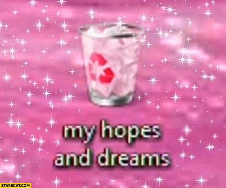 My hopes and dreams trash bin pink