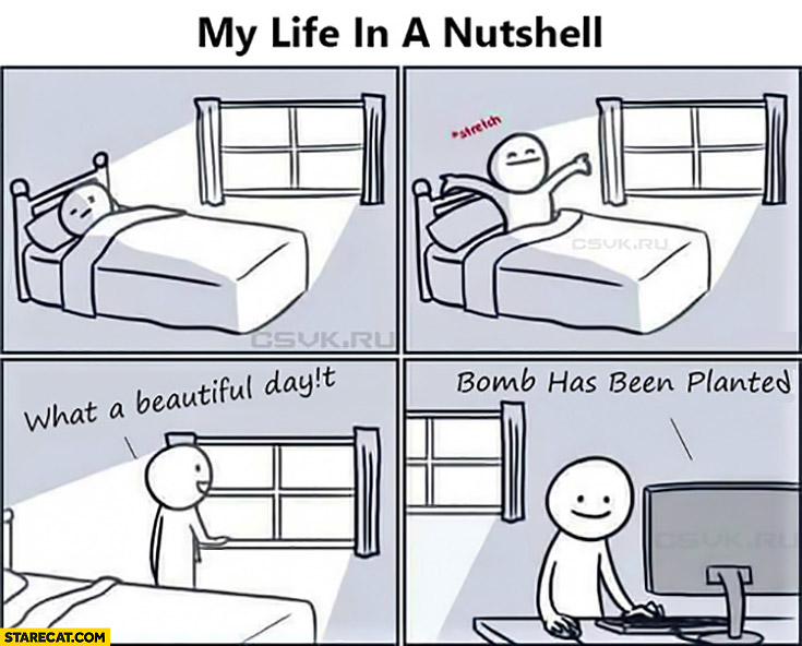 My life in a nutshell: what a beautiful day, playing game: bomb has been pl...