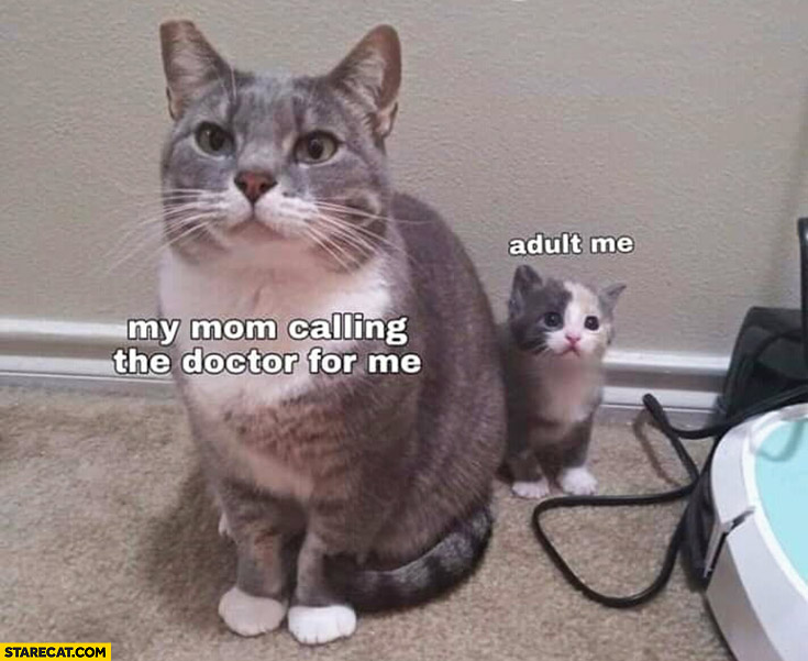 My mom calling the doctor for me adult me cat cats