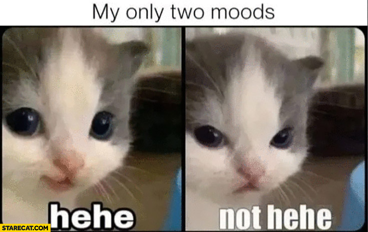 My only two moods: cat hehe, not hehe