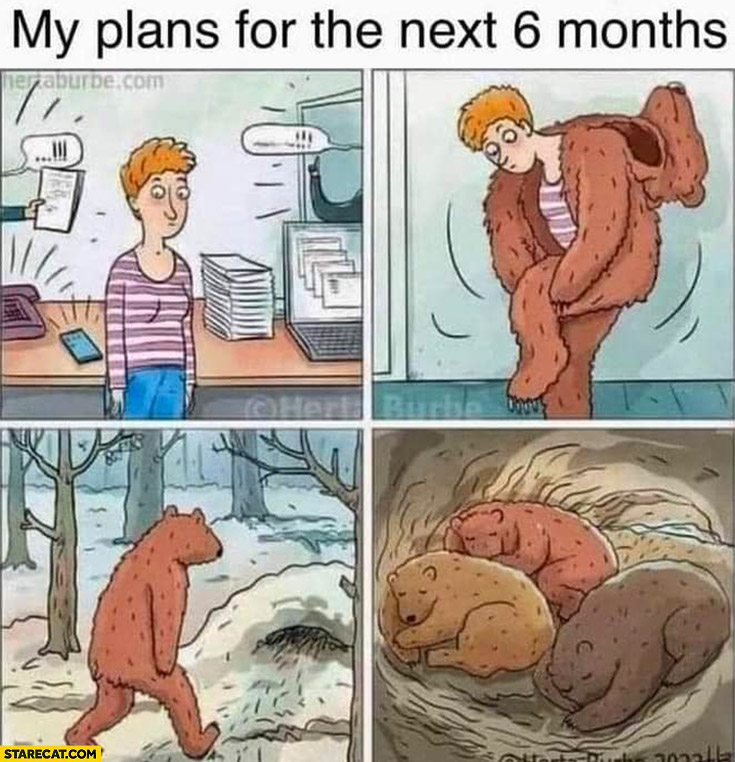 My plans for the next 6 months hibernation like bears comic