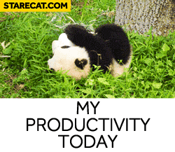 My productivity today rolling Panda