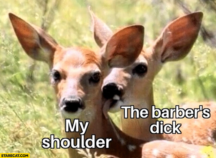 My shoulder vs the barber’s dick roe deer