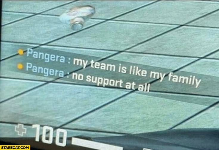 My team is like my family no support at all pangera on game chat