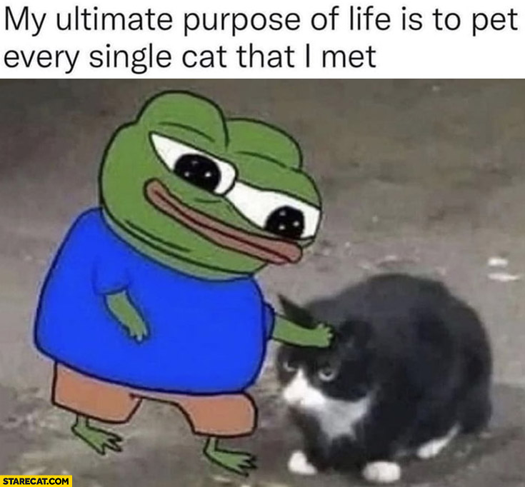 My ultimate purpose of life is to pet every single cat that I met frog Pepe