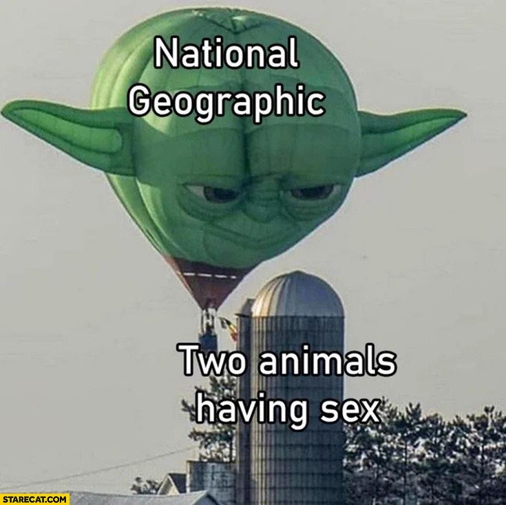 National Geographic looking at two animals having intercourse yoda balloon star wars