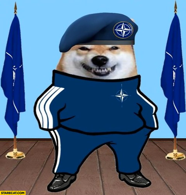 NATO silly dog doge soldier meme