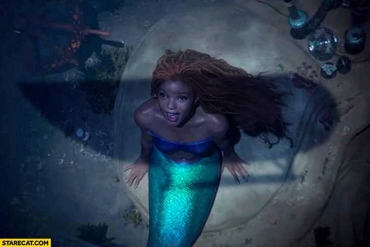 Netflix Little Mermaid oceangate titan meme