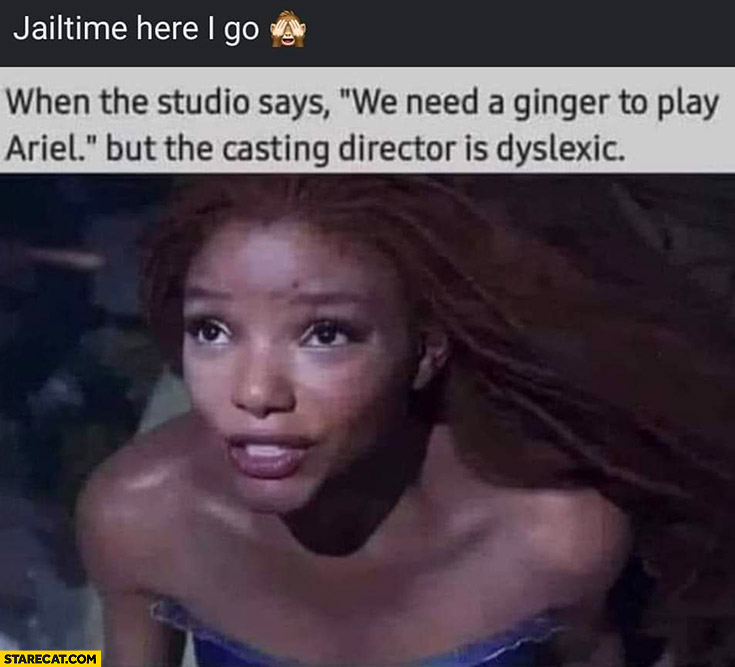 Netflix Little Mermaid when the studio says we need a ginger to play Ariel but the casting director is dyslexic
