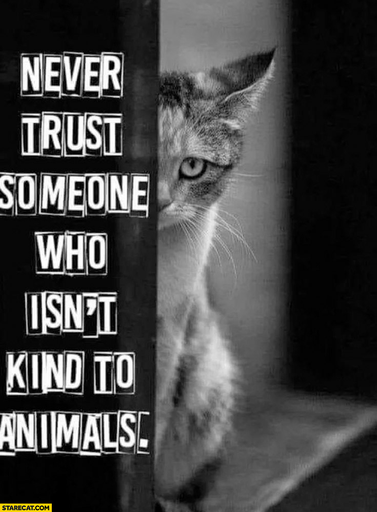 Never trust someone who isn’t kind to animals