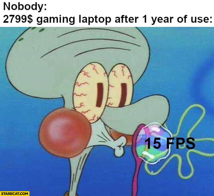 Nobody: $2799 dollars gaming laptop after 1 year of use 15 FPS