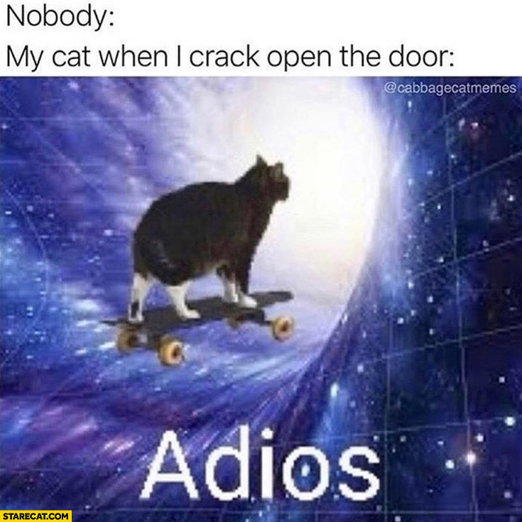 Nobody, my cat when I crack open the door: adios