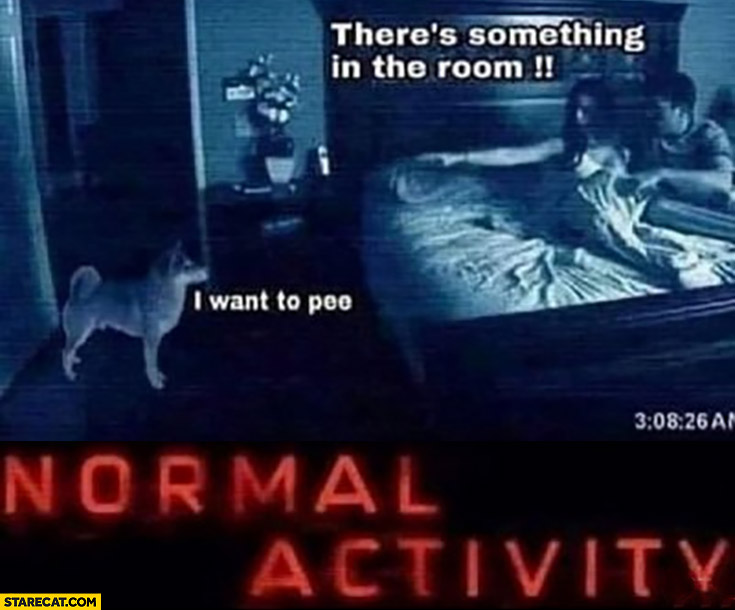 Normal activity there’s something in the room, dog: I want too pee not paranormal