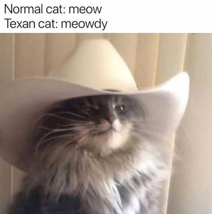 Normal cat: meow, Texan cat: meowdy cowboy