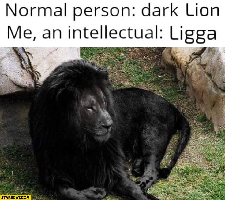 Normal person: dark lion, me an intellectual: ligga