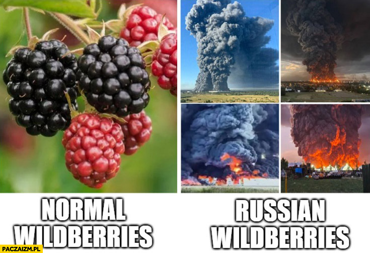 Normal wildberries vs russian wildberries on fire burning