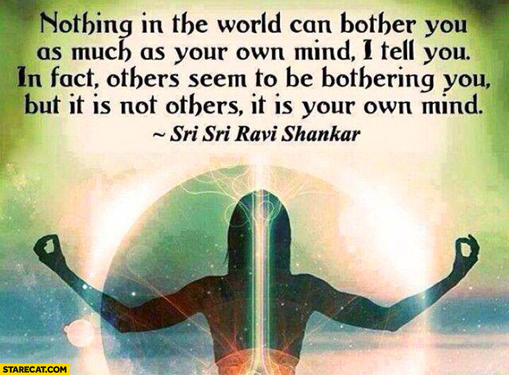 Nothing in the world can bother you as much as your own mind others bothering you it’s your own mind Sri Sri Ravi Shankar