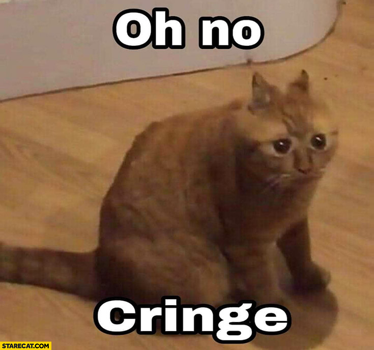 Oh no cringe shocked confused cat