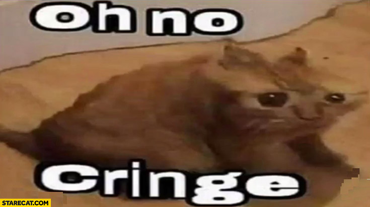 Oh no cringe weird cat reaction meme