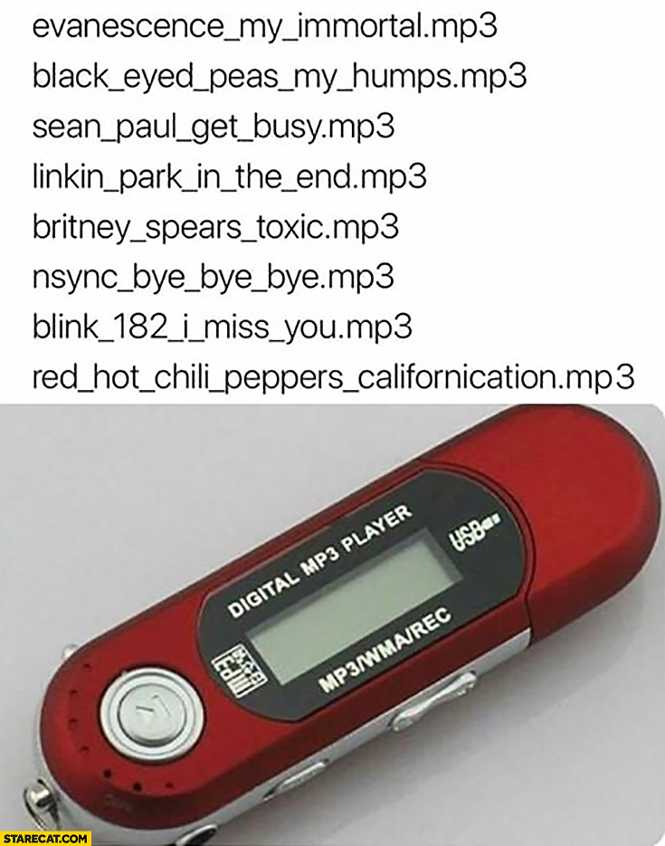 Old MP3 player song list meme | StareCat.com