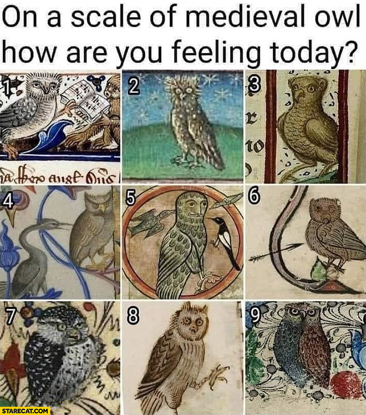 On a scale of medieval owl how are you feeling today from 1 to 9