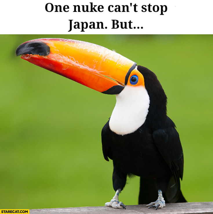 One nuke can’t stop Japan but two can tucan