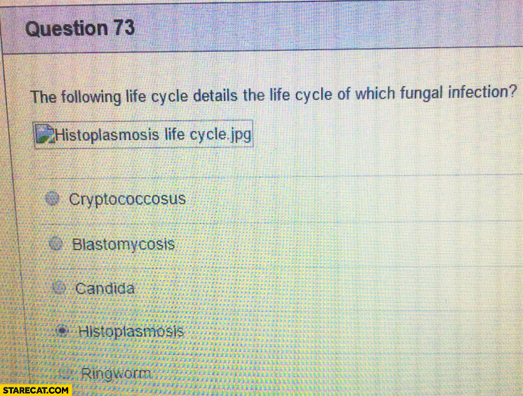 Online test: following life cycle details the life of which fungal infection? Broken picture alt text with correct answer