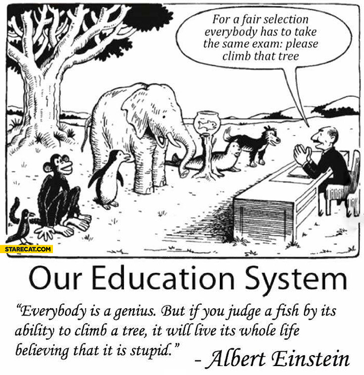 Our education system everybody is a genius but if you judge a fish by it’s ability to climb a tree it will live it’s whole life believing that it is stupid Albert Einstein