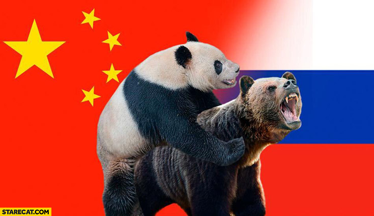Panda China on a bear russia animals mating
