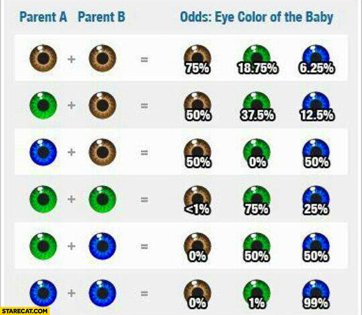 Parents eye colors odds eye color of the baby