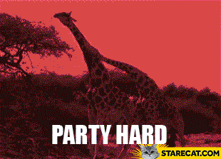 Party hard giraffes