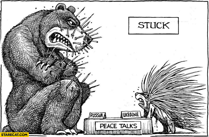 Peace talks Russia bear Ukraine hedgehog