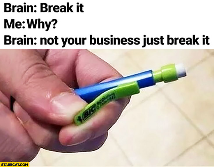 Pen brain: break it, me: why? Brain: not your business just break it