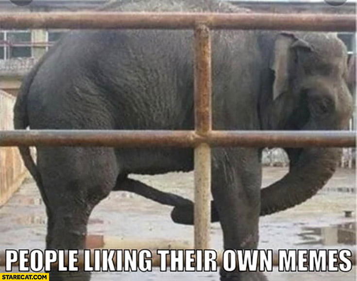 People liking their own memes elephant sucking his own