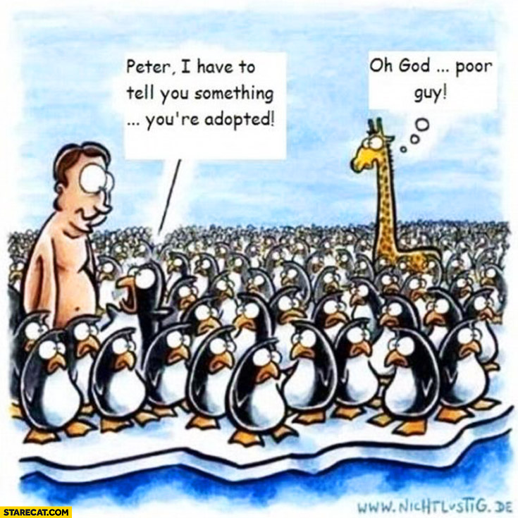 Peter I have to tell you something you’re adopted penguins giraffe