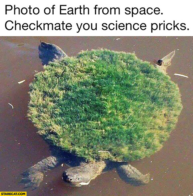 Photo of earth from space turtle tortoise, checkmate you science pricks