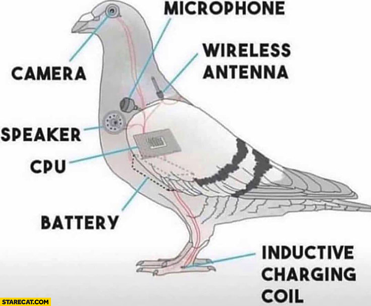 Pigeon diagram: microphone, camera, speaker, cpu, battery, wireless antenna, inductive charging, coil