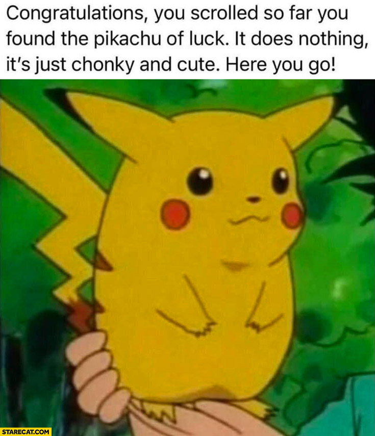 Pikachu congratulations you scrolled so far you found the pikachu of luck it does nothing it’s just chonky and cute here you go