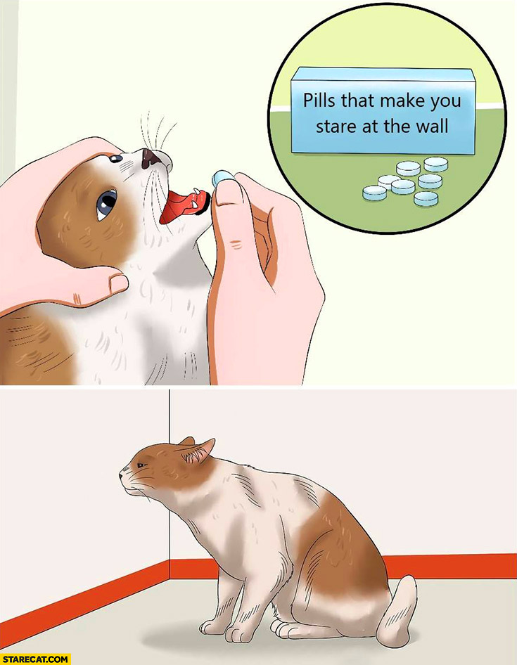 Pills that make you stare at the wall cat