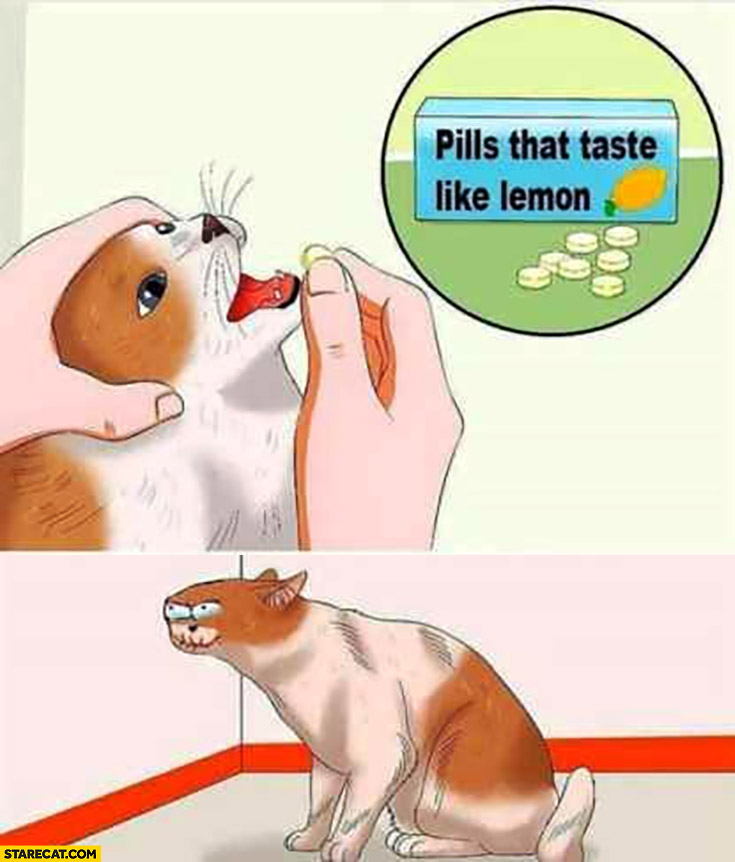 Pills that taste like lemon weird cat