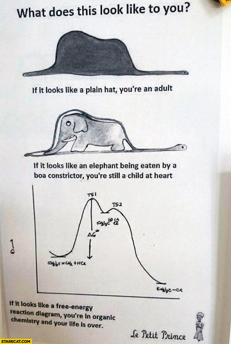 Plain hat elephant being eaten by a boa free-energy reaction diagram if you’re in organic chemistry and your life is over