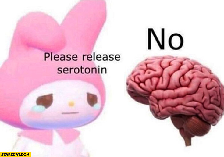 Please release serotonin brain no