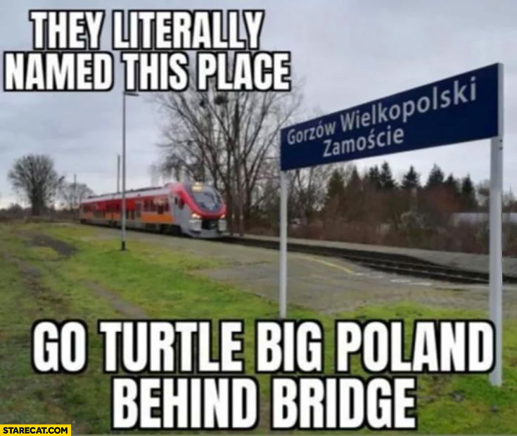 Poland they literally named this place go turtle big poland behind bridge gorzów wielkopolski zamoscie