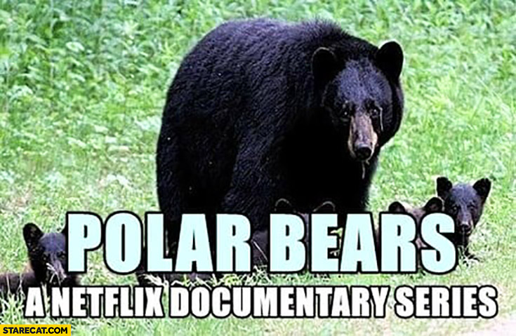 Polar bears a Netflix documentary series actually black bears