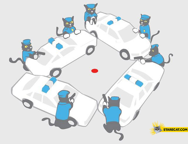 Police cats chasing the red dot