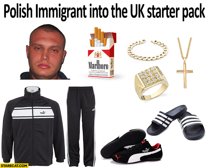 Polish immigrant into the UK starter pack