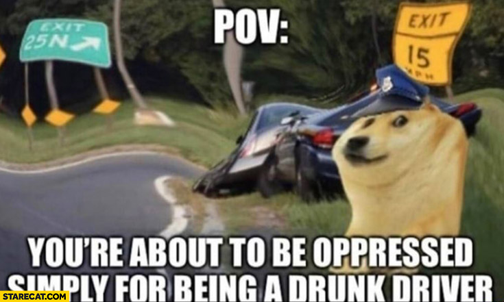 POV: you’re about to be oppressed simply for being a drunk driver doge policeman
